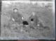 Tres sacerdotes sentados en el campo, 1920