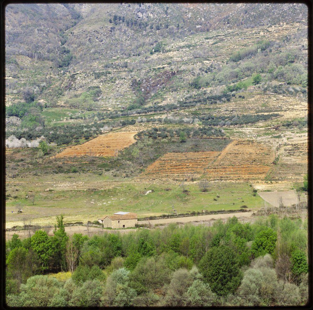 Un aspecto del valle del Jerte · Luis Agromayor