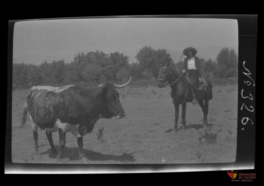 Una mujer monta a caballo junto a una res