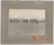 Vacas de raza holandesa: primer premio · Javier García Téllez, 1920