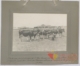 Vacas de raza holandesa: segundo premio · Javier García Téllez, 1920