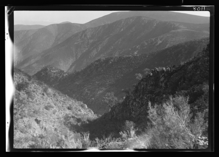 Valle del río Fragosa, con brezo en primer plano