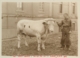 Vaquero con toro junto al Hospital Provincial de Cáceres · Javier García Téllez, 1928