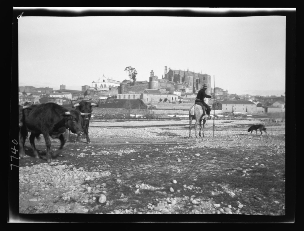Vaqueros conduciendo el ganado; al fondo, la catedral y el palacio