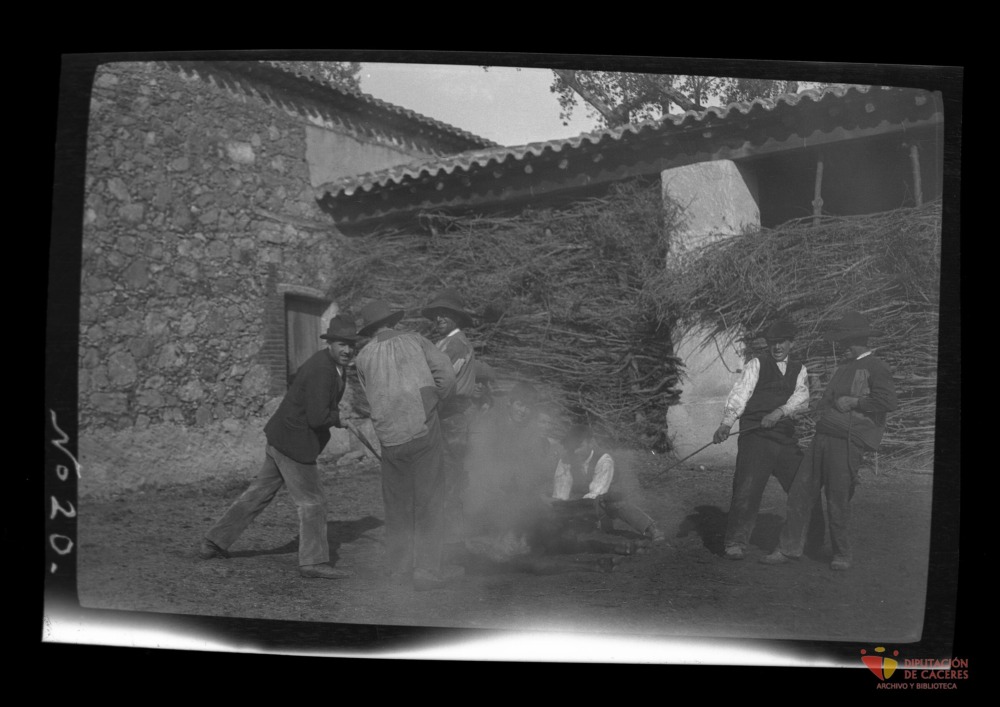 Vaqueros marcando a una res