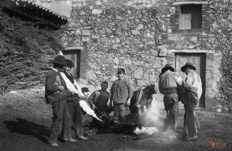 Vaqueros marcando a una res