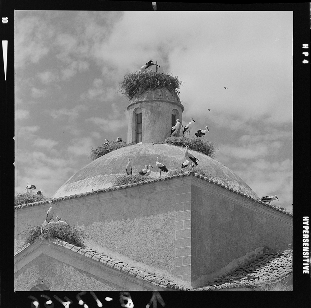 Villamesías Cáceres cigüeñas