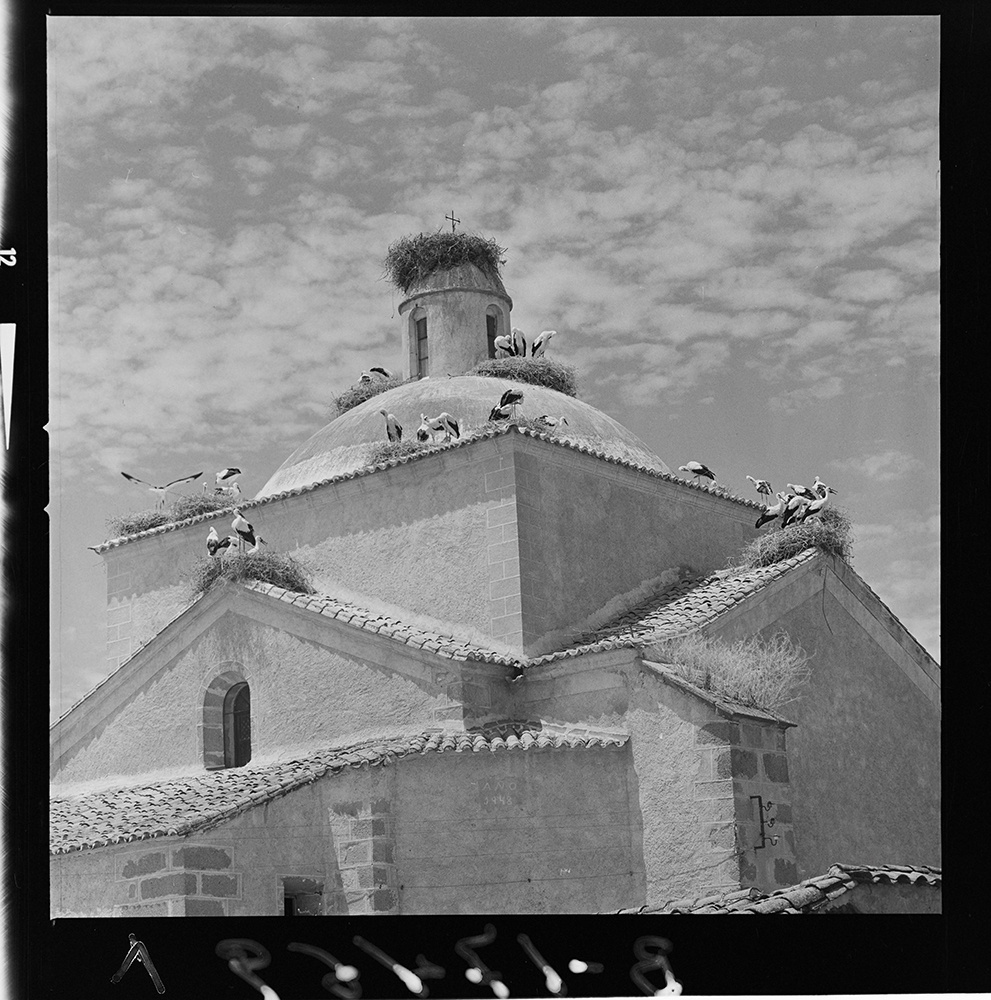 Villamesías Cáceres cigüeñas