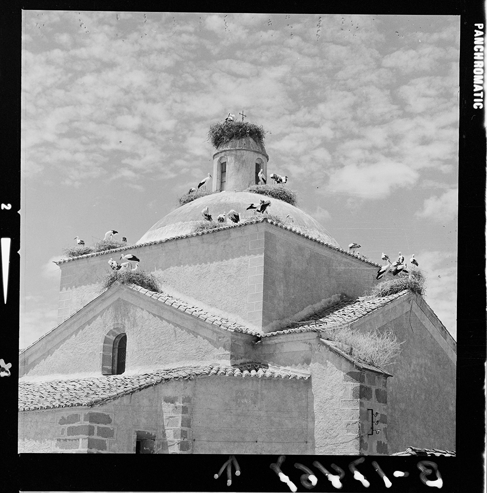 Villamesías. Cigüeñas