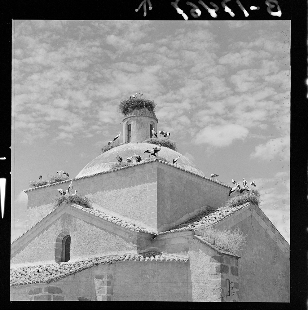 Villamesías. Cigüeñas