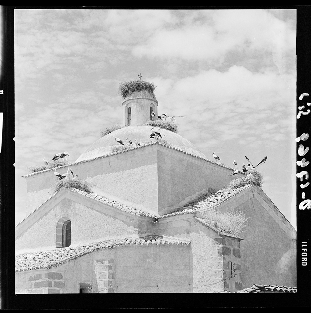Villamesías. Cigüeñas