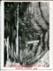 Vista de una cueva sin identificar, 1950