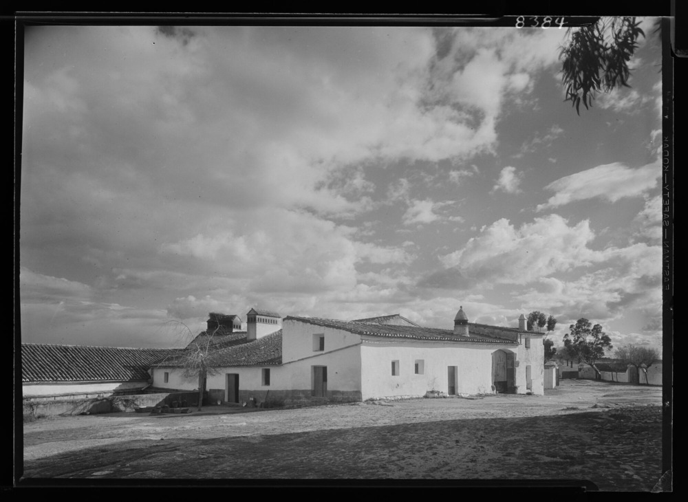 Vista del interior de la tapia de la finca