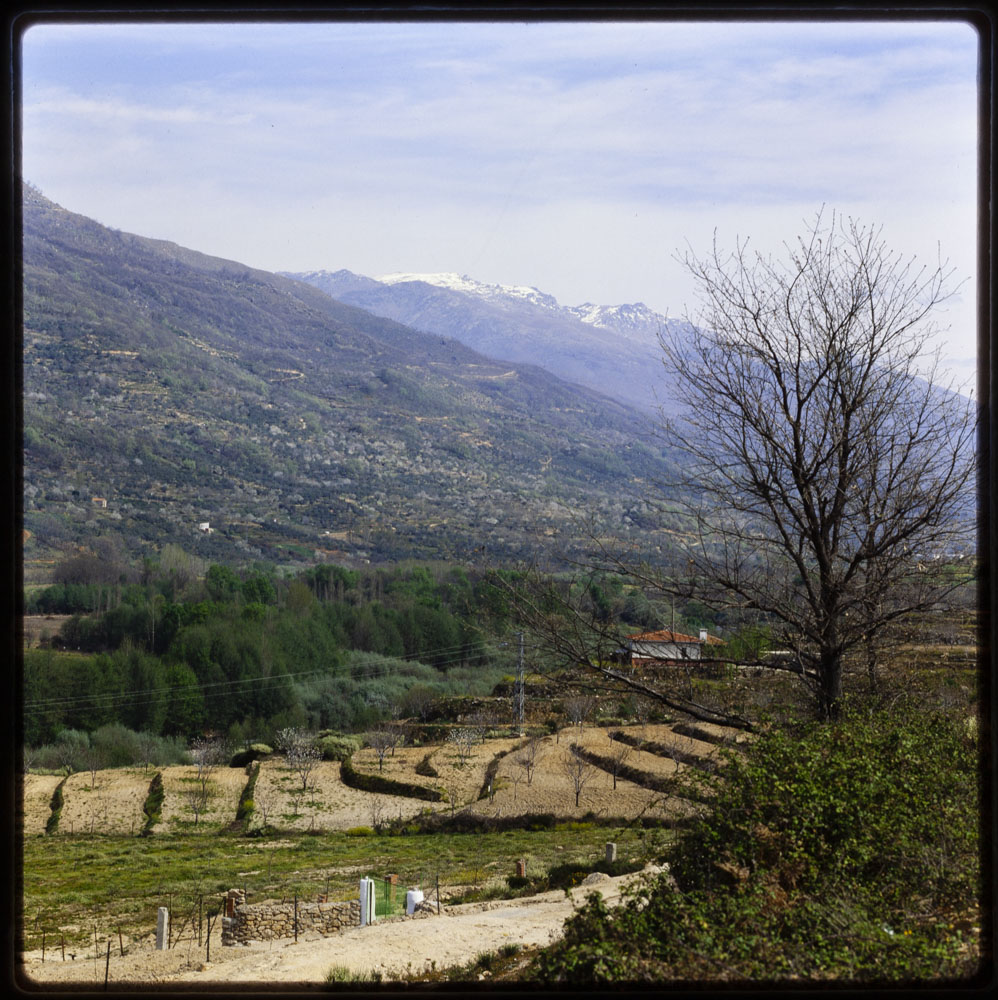 Vista del valle del Jerte, con Gredos al fondo · Luis Agromayor