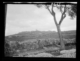 Vista general · Ruth Matilda Anderson, 1928