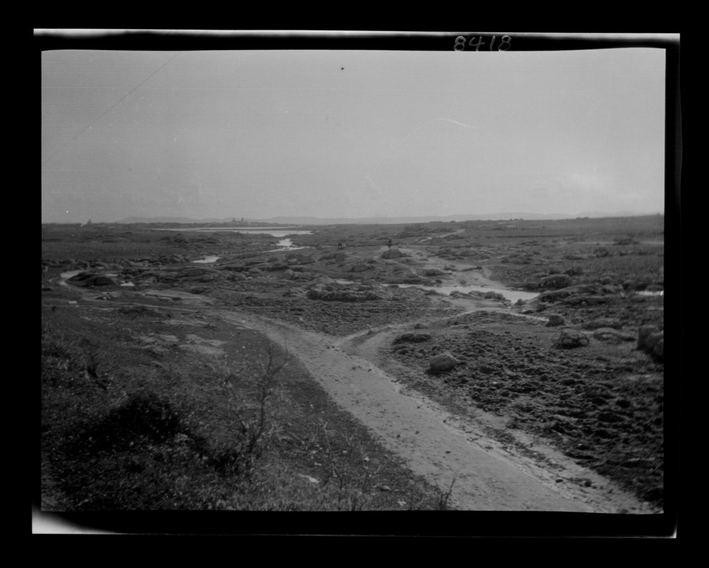 Vista lejana