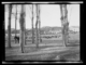 Vista lejana del mercado mensual de cerdos a través de la alameda · Ruth Matilda Anderson, 1928