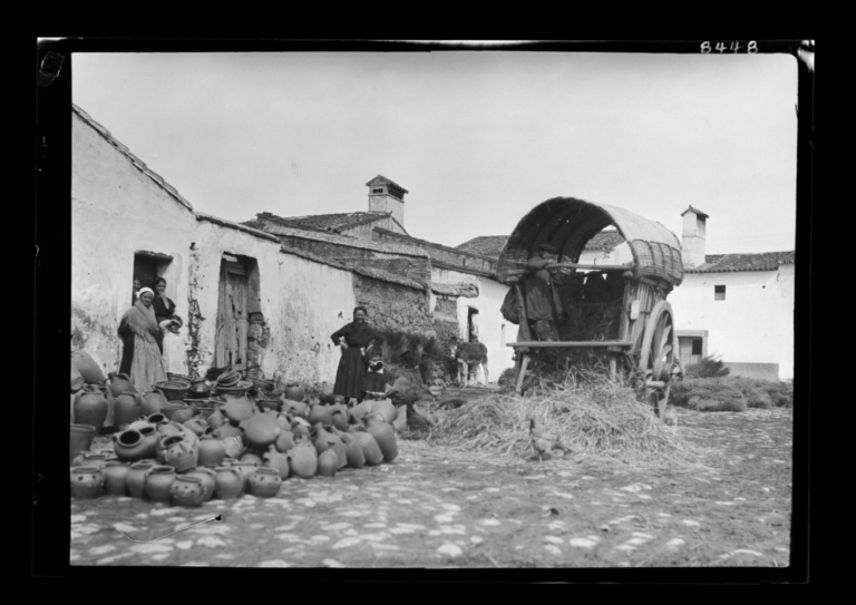 Vista trasera del carro