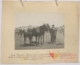Yeguas de cruce español y potro: primer premio · Julián Perate Barroeta, 1920
