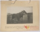 Yeguas de cruce español y potro : tercer premio · Julián Perate Barroeta, 1920