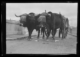 Yunta de bueyes y carro en el puente · Ruth Matilda Anderson, 1928
